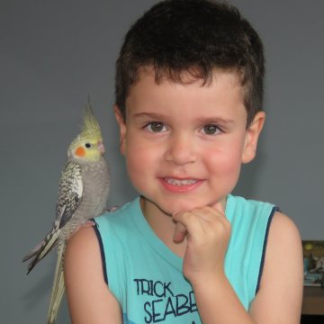 Free Photos Boy 4 year old child with Cockatiel on his shoulder and green t shirt bird bird yellow head boy, 4, year, old, child, cockatiel, shoulder, green, t, shirt, bird, bird, yellow, head Kids, Birds,  One Million Pics